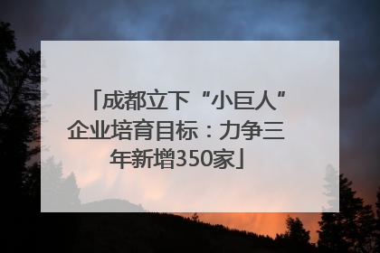 成都立下“小巨人”企业培育目标：力争三年新增350家