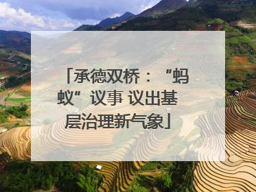 承德双桥：“蚂蚁”议事 议出基层治理新气象
