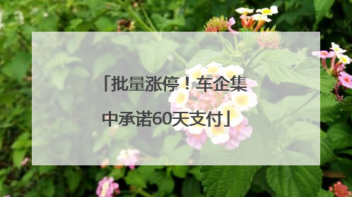 批量涨停！车企集中承诺60天支付