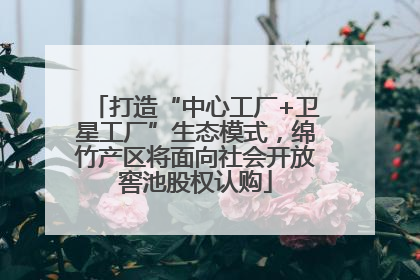 打造“中心工厂+卫星工厂”生态模式，绵竹产区将面向社会开放窖池股权认购