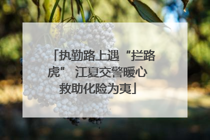 执勤路上遇“拦路虎” 江夏交警暖心救助化险为夷