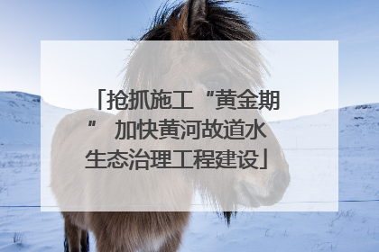 抢抓施工“黄金期” 加快黄河故道水生态治理工程建设