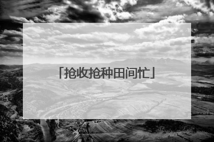 抢收抢种田间忙