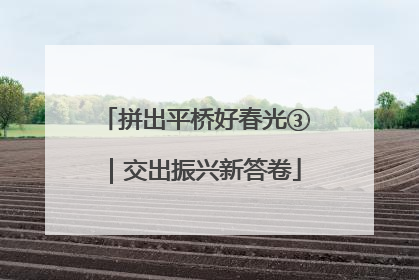拼出平桥好春光③｜交出振兴新答卷