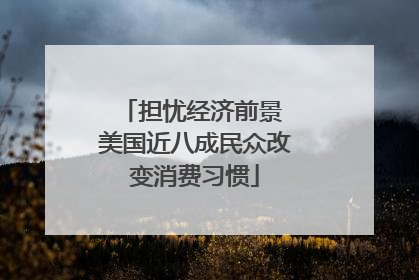 担忧经济前景 美国近八成民众改变消费习惯