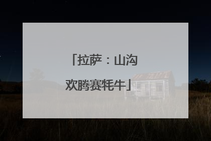 拉萨：山沟欢腾赛牦牛