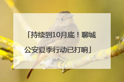 持续到10月底！聊城公安夏季行动已打响
