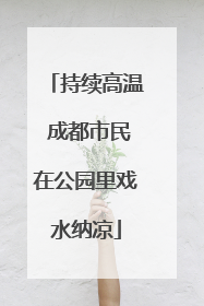 持续高温 成都市民在公园里戏水纳凉