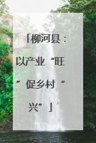 柳河县：以产业“旺”促乡村“兴”