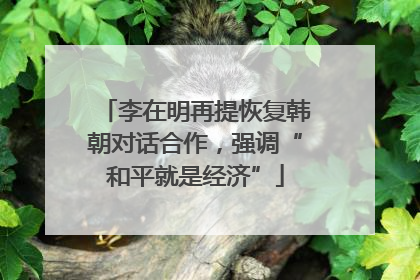 李在明再提恢复韩朝对话合作，强调“和平就是经济”