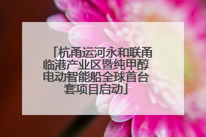杭甬运河永和联甬临港产业区暨纯甲醇电动智能船全球首台套项目启动