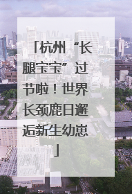 杭州“长腿宝宝”过节啦！世界长颈鹿日邂逅新生幼崽