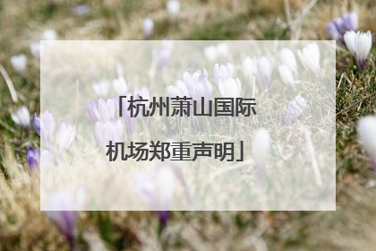 杭州萧山国际机场郑重声明