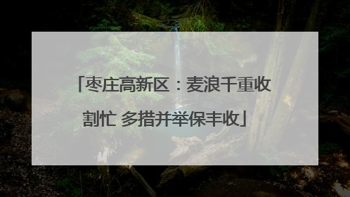 枣庄高新区：麦浪千重收割忙 多措并举保丰收