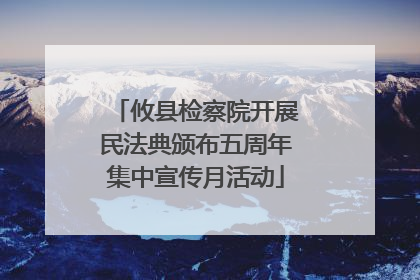攸县检察院开展民法典颁布五周年集中宣传月活动