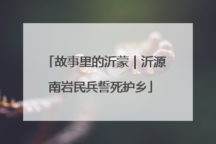 故事里的沂蒙｜沂源南岩民兵誓死护乡