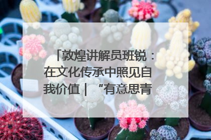 敦煌讲解员班锐：在文化传承中照见自我价值｜“有意思青年”高校公益计划