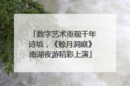 数字艺术重现千年诗境，《赊月洞庭》南湖夜游精彩上演