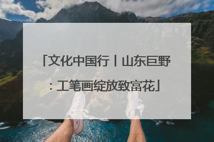 文化中国行丨山东巨野：工笔画绽放致富花