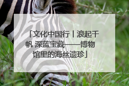 文化中国行丨浪起千帆 深蓝宝藏——博物馆里的海丝遗珍