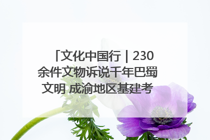 文化中国行｜230余件文物诉说千年巴蜀文明 成渝地区基建考古成果展开展