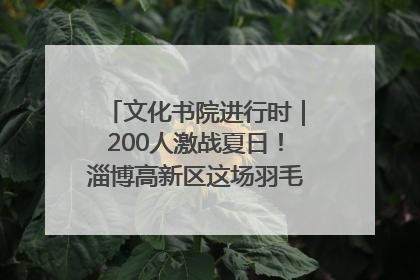 文化书院进行时｜200人激战夏日！淄博高新区这场羽毛球比赛太酷