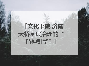 文化书院 济南天桥基层治理的“精神引擎”