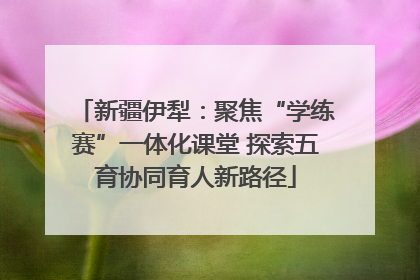 新疆伊犁：聚焦“学练赛”一体化课堂 探索五育协同育人新路径