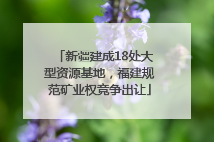 新疆建成18处大型资源基地，福建规范矿业权竞争出让