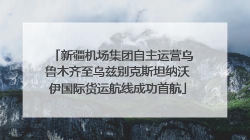 新疆机场集团自主运营乌鲁木齐至乌兹别克斯坦纳沃伊国际货运航线成功首航