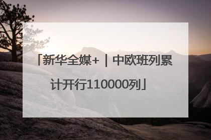 新华全媒+｜中欧班列累计开行110000列