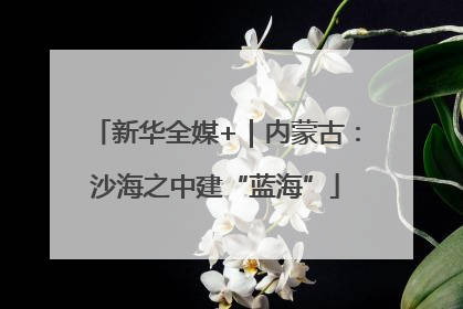 新华全媒+｜内蒙古：沙海之中建“蓝海”
