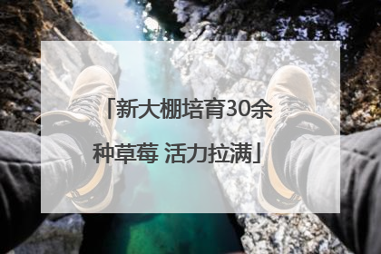 新大棚培育30余种草莓 活力拉满