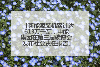 新能源装机累计达613万千瓦，申能集团在第三届碳博会发布社会责任报告