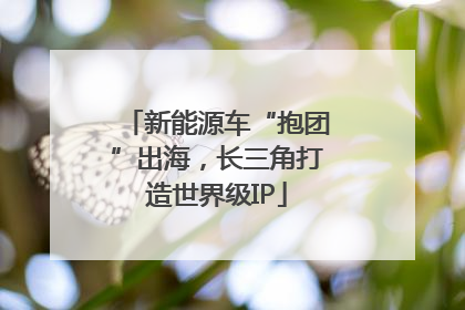 新能源车“抱团”出海，长三角打造世界级IP