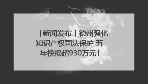 新闻发布丨德州强化知识产权司法保护 五年挽损超930万元
