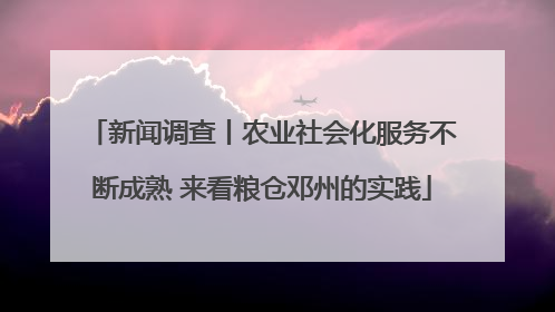 新闻调查丨农业社会化服务不断成熟 来看粮仓邓州的实践