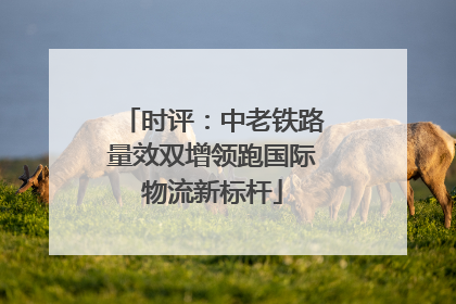 时评：中老铁路量效双增领跑国际物流新标杆
