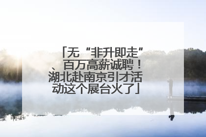 无“非升即走”、百万高薪诚聘！湖北赴南京引才活动这个展台火了