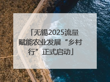 无锡2025流量赋能农业发展“乡村行”正式启动