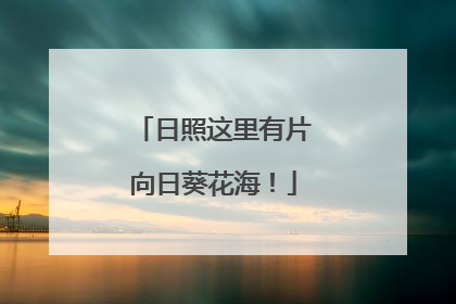 日照这里有片向日葵花海！