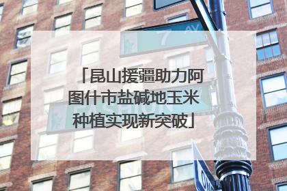 昆山援疆助力阿图什市盐碱地玉米种植实现新突破