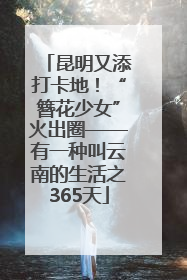 昆明又添打卡地！“簪花少女”火出圈——有一种叫云南的生活之365天