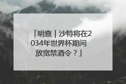 明查｜沙特将在2034年世界杯期间放宽禁酒令？