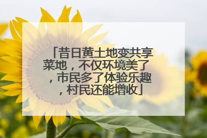 昔日黄土地变共享菜地，不仅环境美了，市民多了体验乐趣，村民还能增收