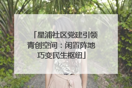 星浦社区党建引领青创空间：闲置阵地巧变民生枢纽