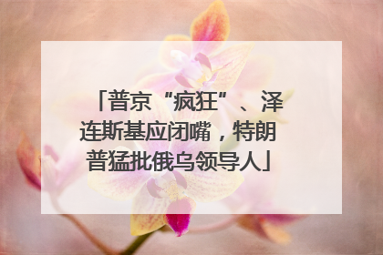 普京“疯狂”、泽连斯基应闭嘴，特朗普猛批俄乌领导人