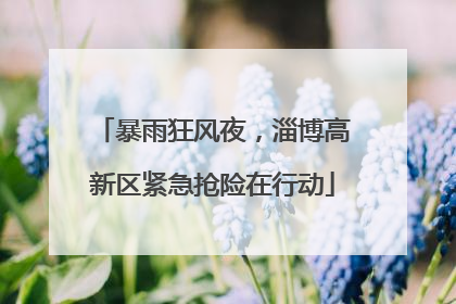 暴雨狂风夜，淄博高新区紧急抢险在行动