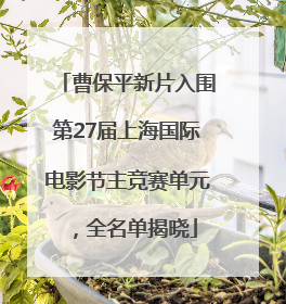 曹保平新片入围第27届上海国际电影节主竞赛单元，全名单揭晓
