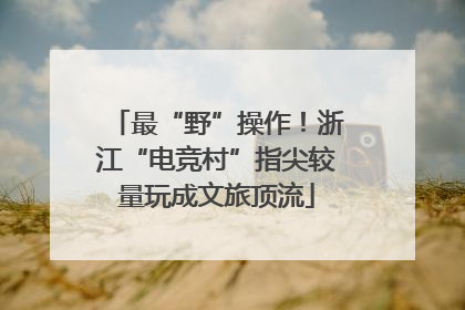 最“野”操作！浙江“电竞村”指尖较量玩成文旅顶流